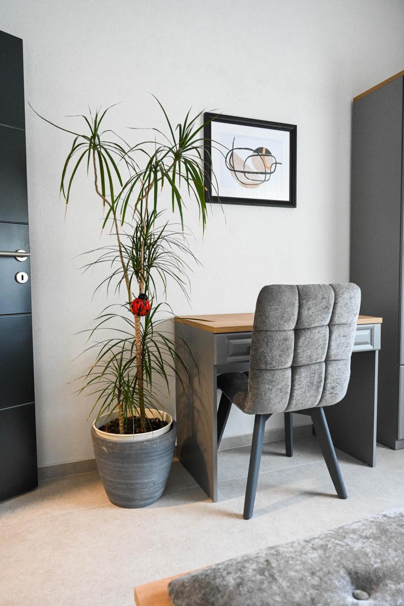 4-Star Design Apartments Bubamara Zadar Extérieur photo
